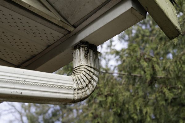 Cost of Roof Drain Replacement in Rochester
