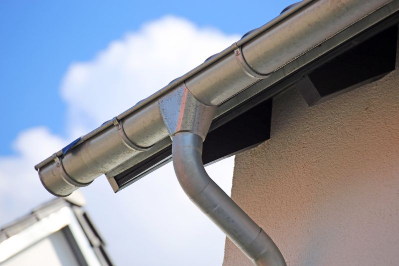 Gutter System Inspection